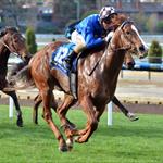 Flying filly Wild Rain impresses at Moonee Valley